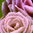 V`E